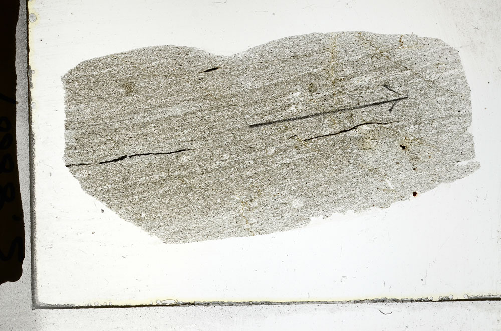 Plane Polarized, S88869