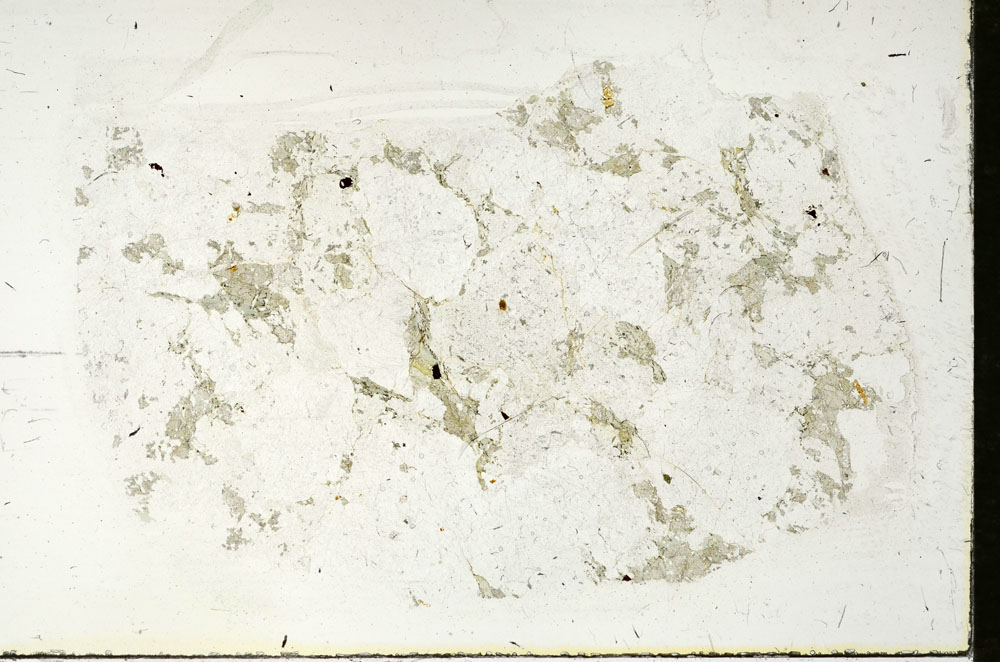 Plane Polarized, S90441