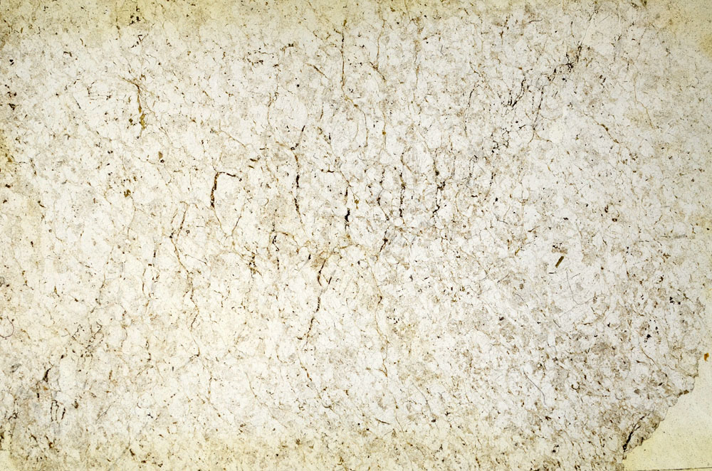Plane Polarized, S90575