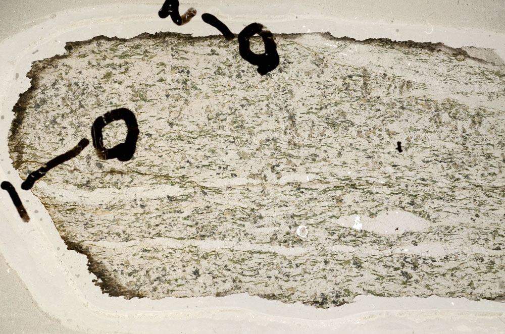 Plane Polarized, S92383/A