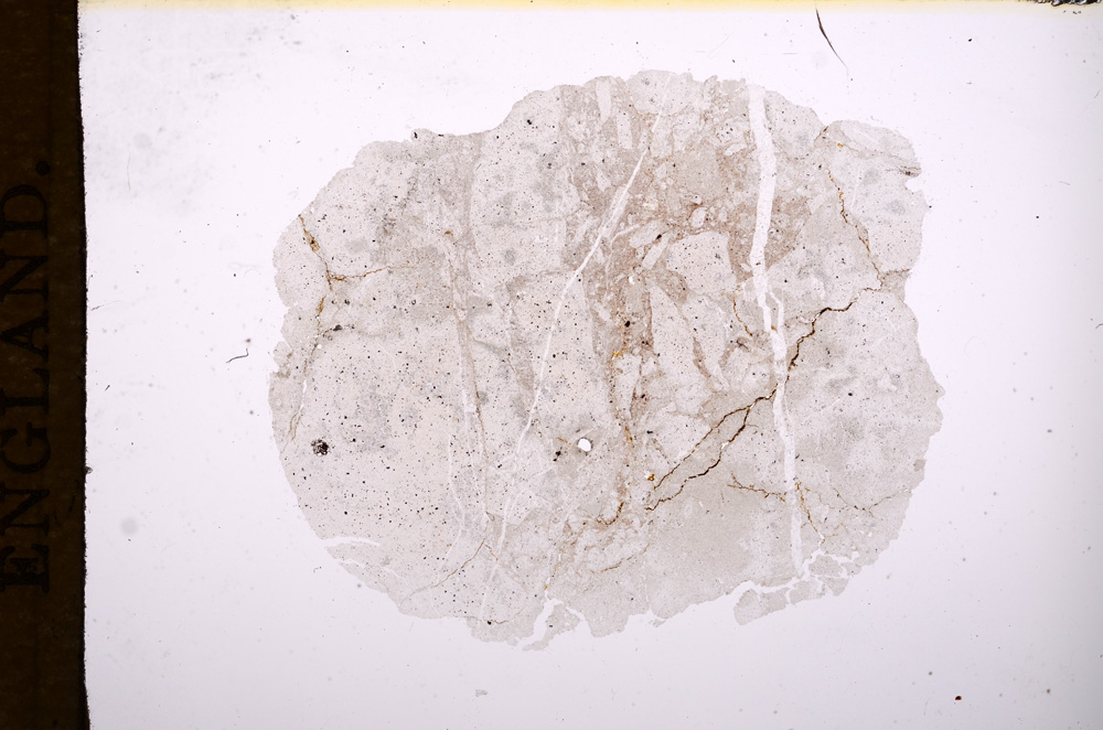 Plane Polarized, E7572