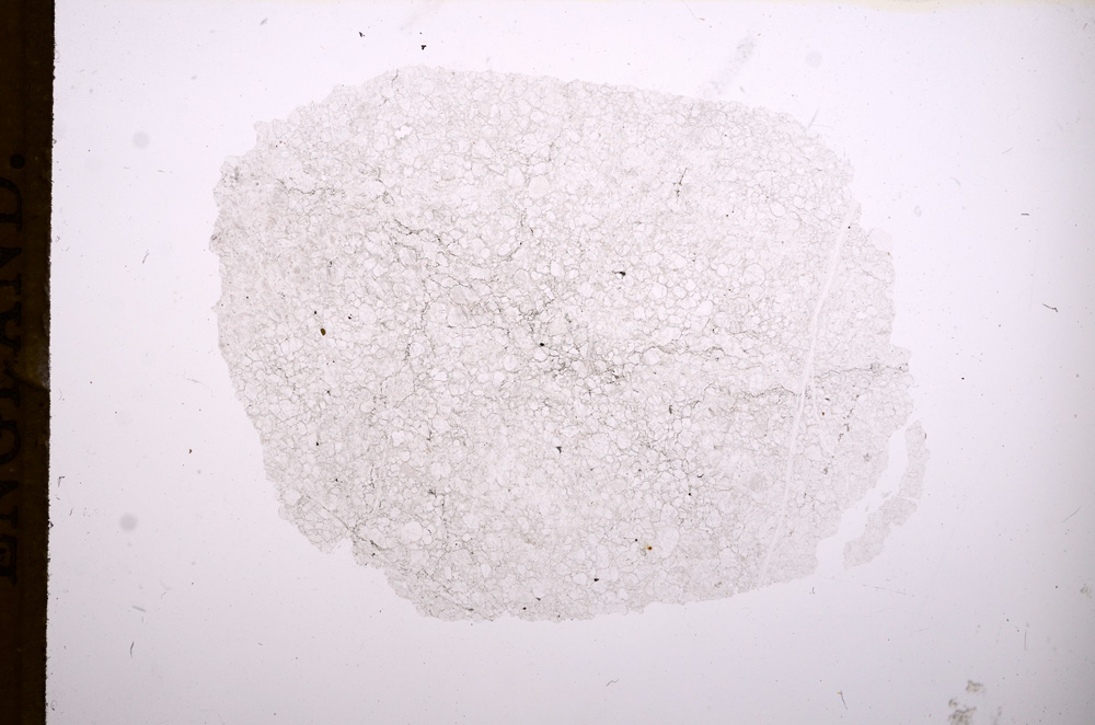 Plane Polarized, E8056