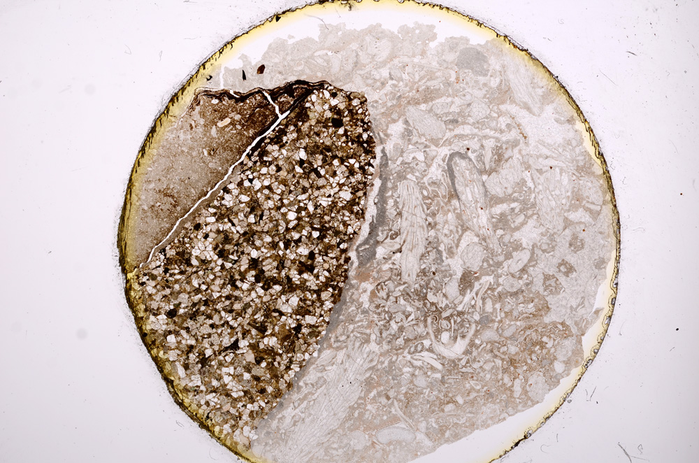 Plane Polarized, E8626