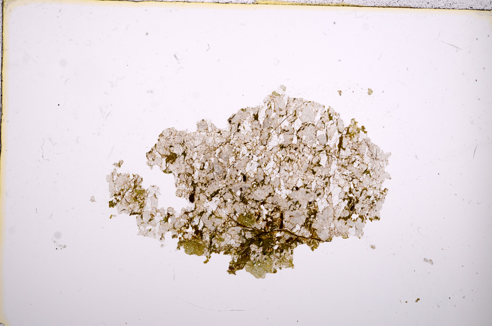 Plane Polarized, E12124