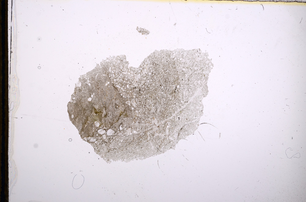 Plane Polarized, E13378