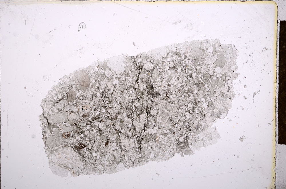 Plane Polarized, E13381