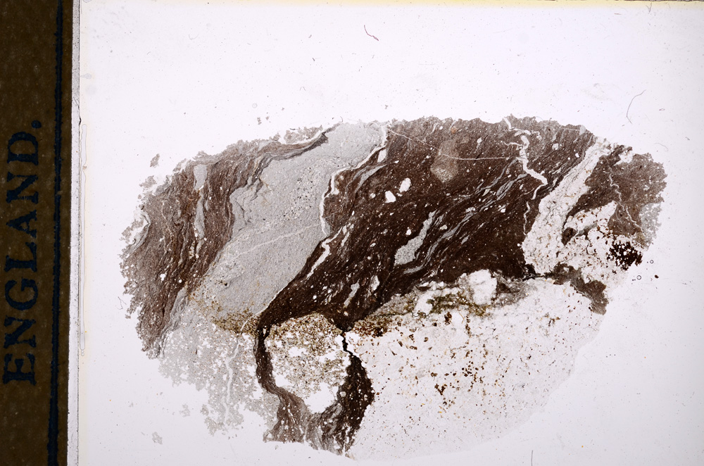 Plane Polarized, E13384