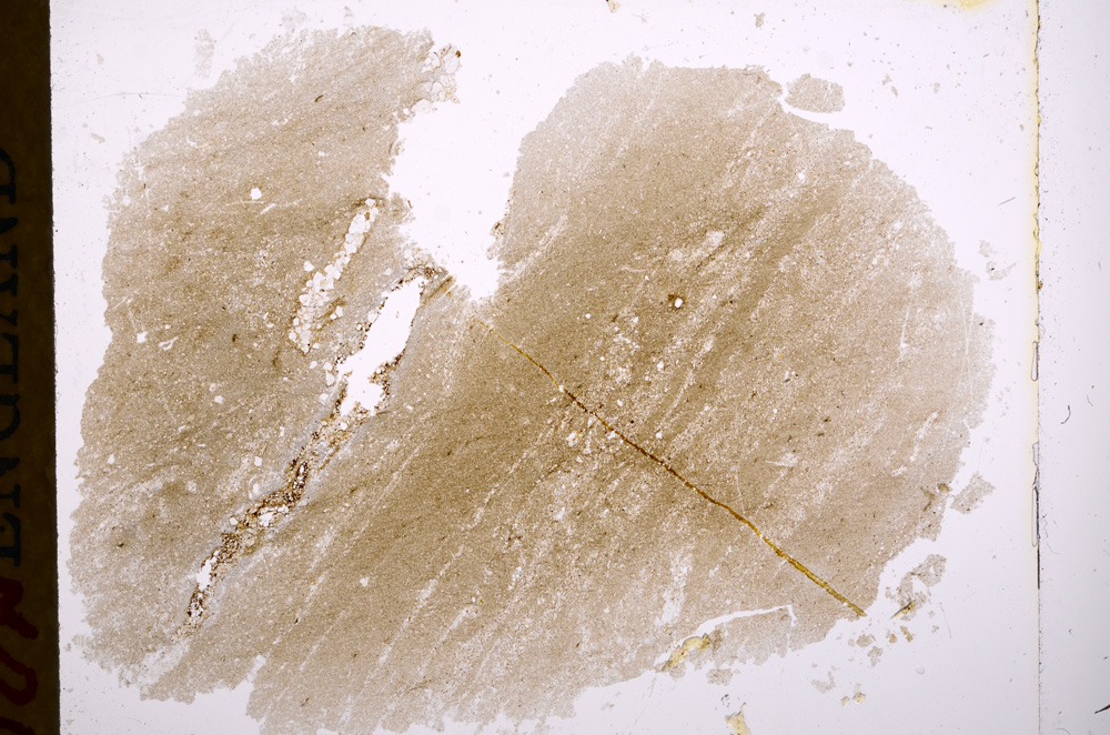 Plane Polarized, E17119/A