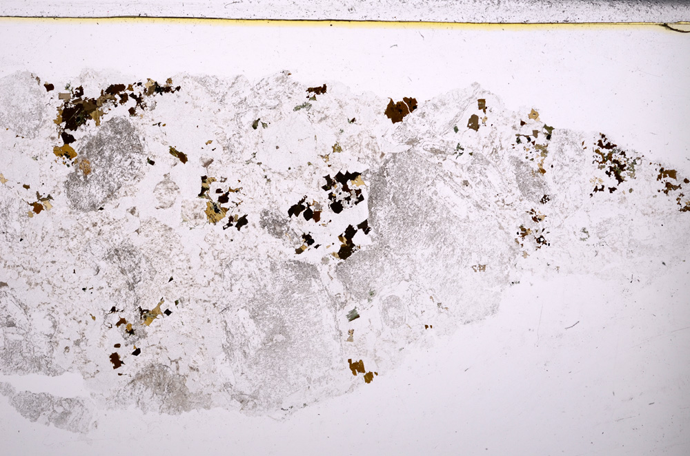 Plane Polarized, E26216