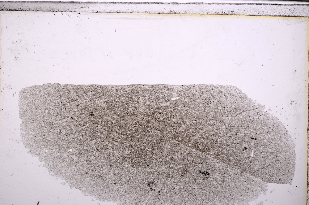 Plane Polarized, E27627