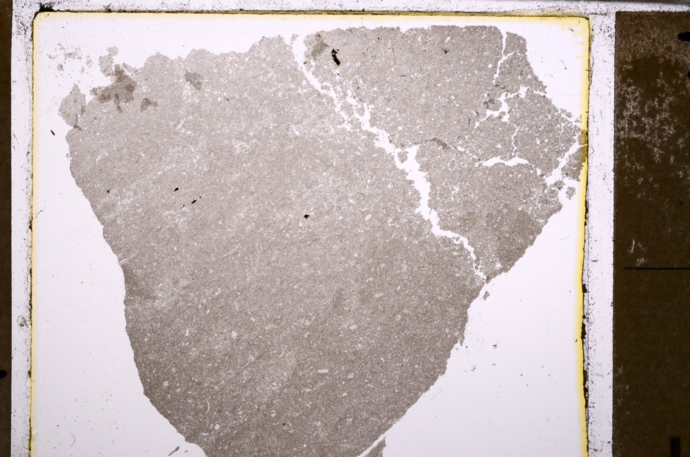 Plane Polarized, E28889