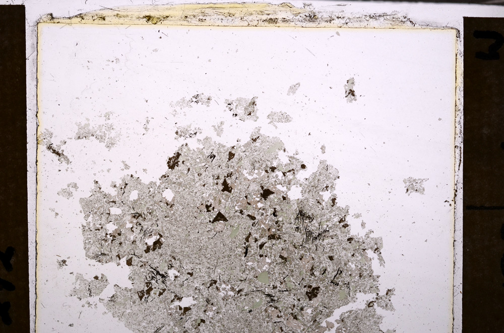 Plane Polarized, E32567