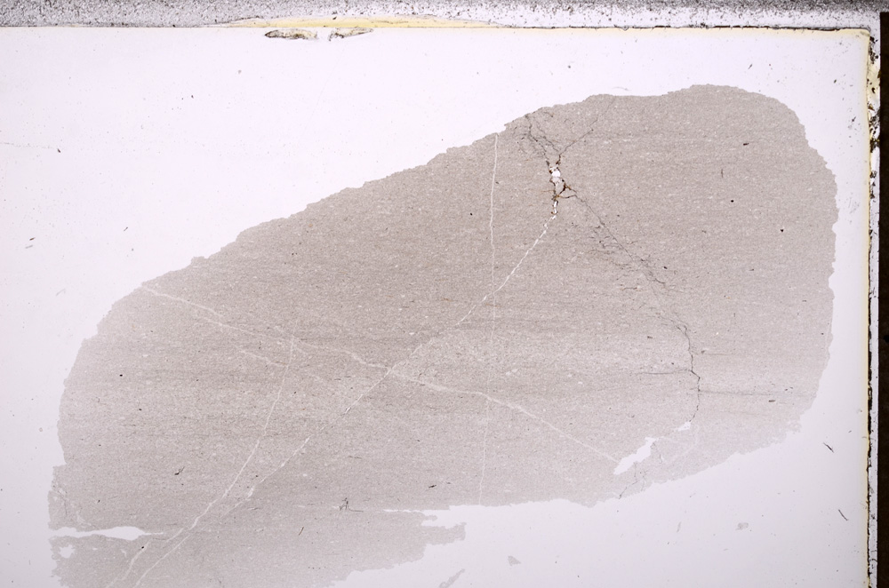 Plane Polarized, E32568