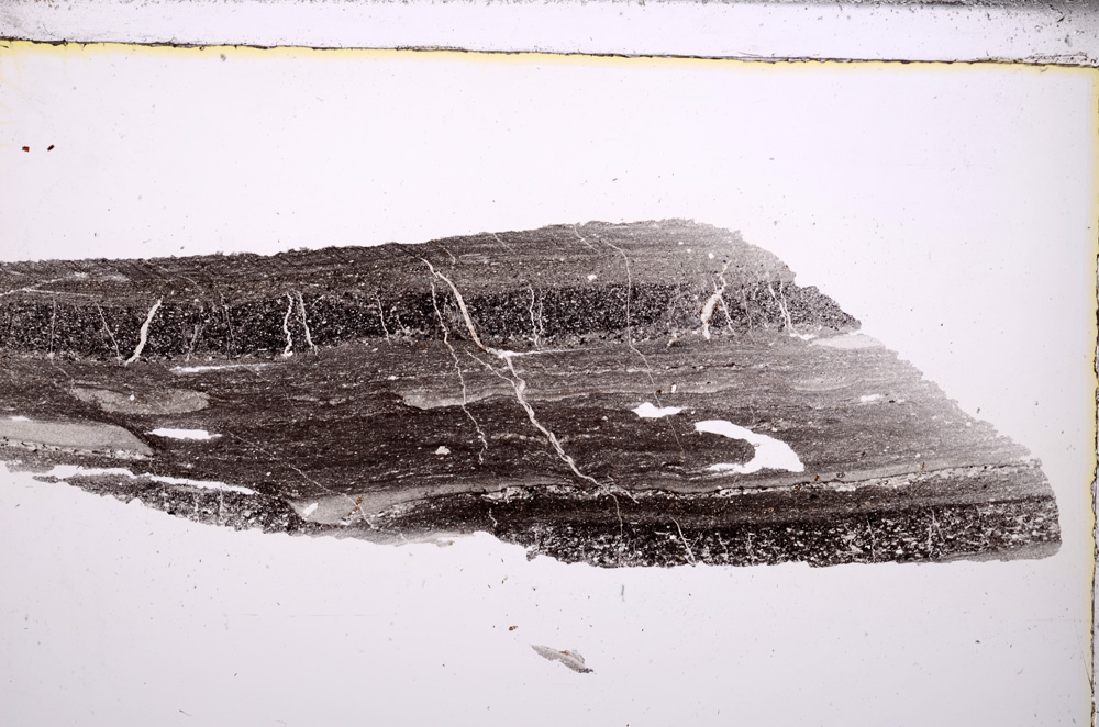 Plane Polarized, E32569