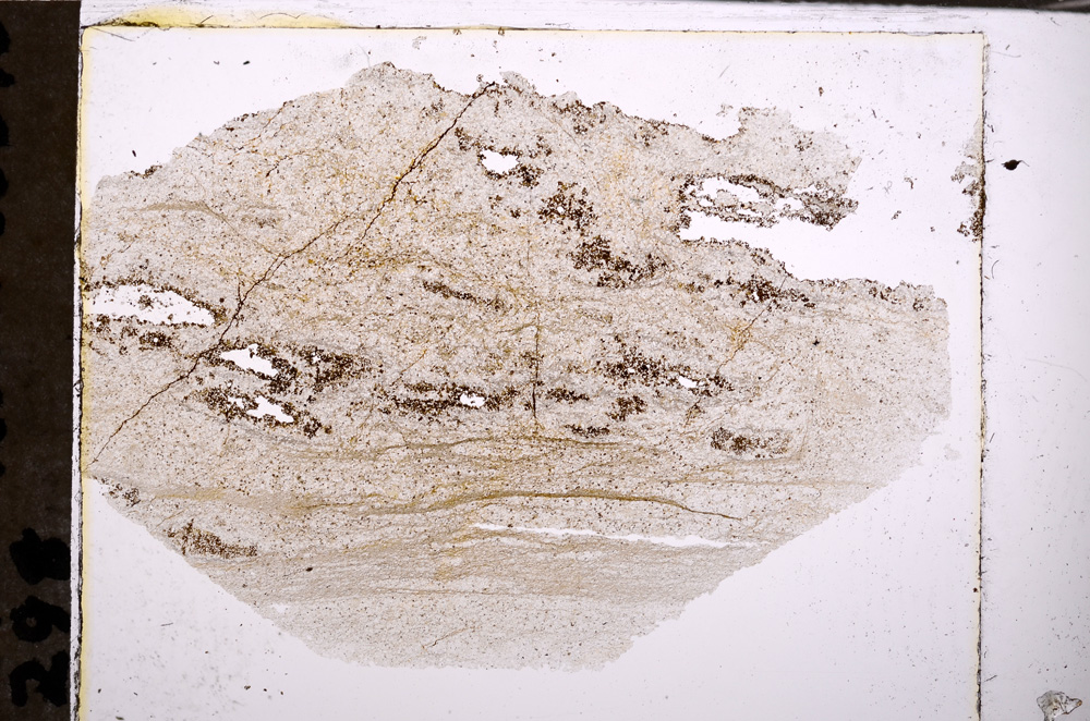 Plane Polarized, E32570