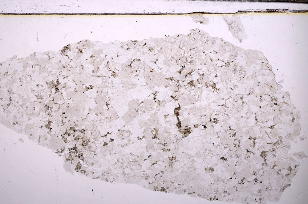 Plane Polarized, E32574