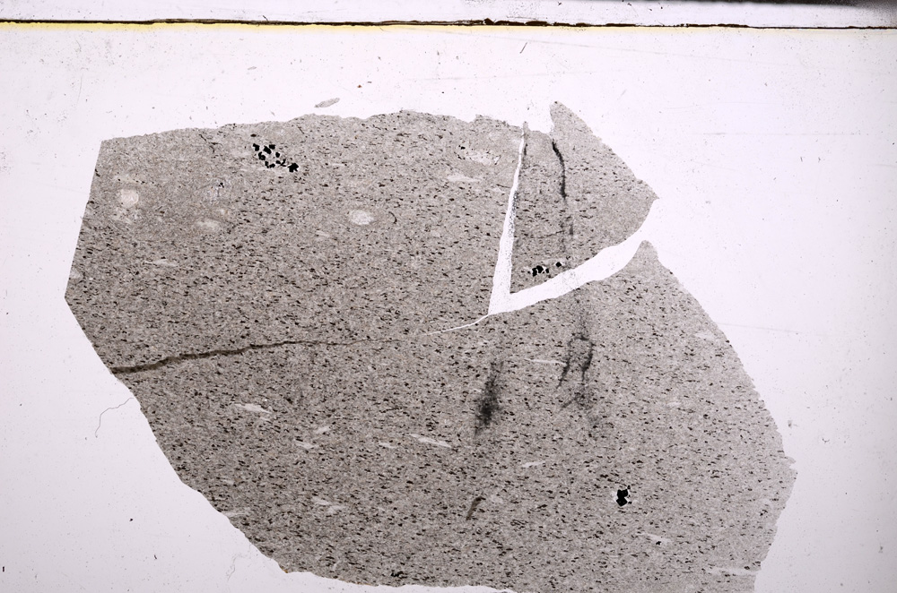 Plane Polarized, E32585