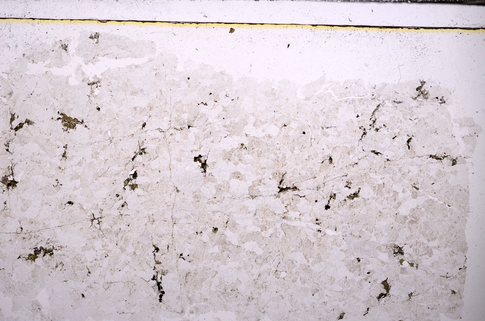 Plane Polarized, E32589