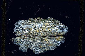 Cross Polarized, S3011