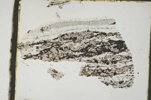 Plane Polarized, S3013