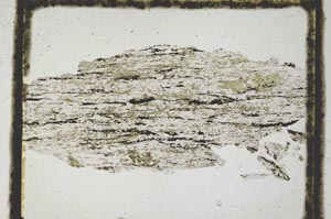 Plane Polarized, S3015