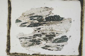 Plane Polarized, S3034