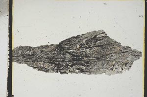 Plane Polarized, S3155