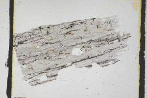 Plane Polarized, S3157