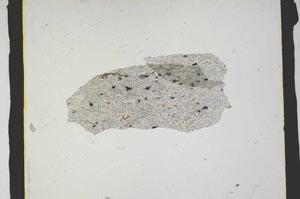 Plane Polarized, S3164