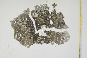 Plane Polarized, S3177