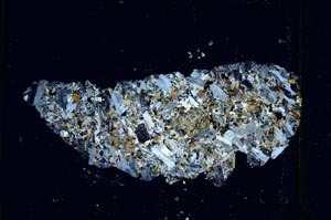 Cross Polarized, S3182