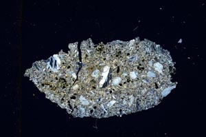 Cross Polarized, S3183