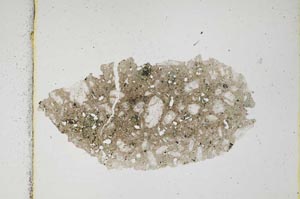 Plane Polarized, S3183