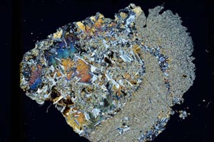 Cross Polarized, S3220