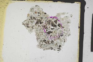 Plane Polarized, S3221