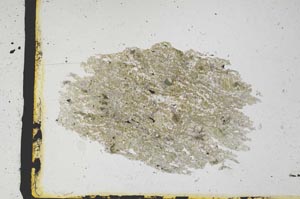 Plane Polarized, S3222/a