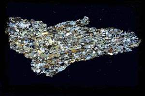 Cross Polarized, S3223