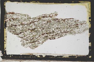 Plane Polarized, S3223