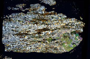 Cross Polarized, S3224