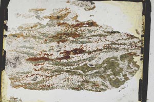 Plane Polarized, S3224