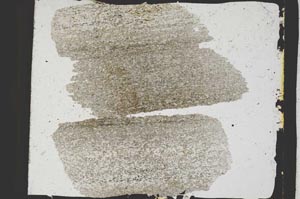 Plane Polarized, S3225