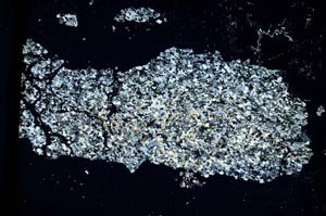 Cross Polarized, S3227