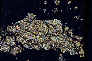 Cross Polarized, S3229