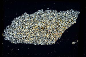 Cross Polarized, S3230