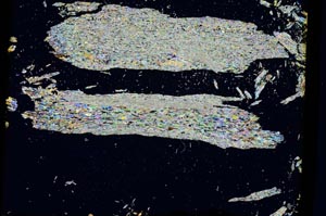 Cross Polarized, S3233