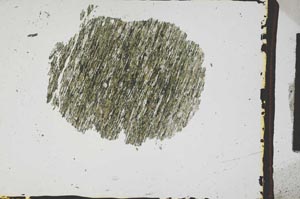 Plane Polarized, S3249