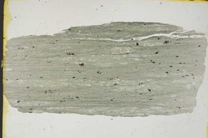 Plane Polarized, S3261