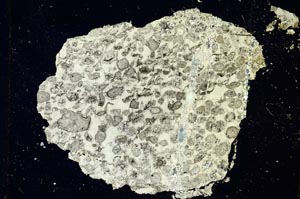 Cross Polarized, S3266