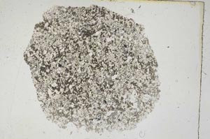 Plane Polarized, S3267