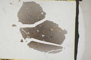 Plane Polarized, S3268